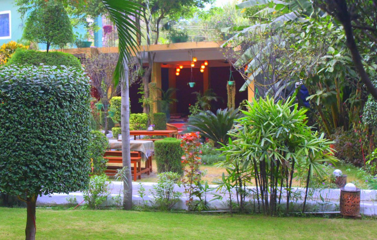 Green Hills Cottage Rishīkesh Dış mekan fotoğraf